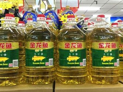 最貴金龍魚排行榜前十名