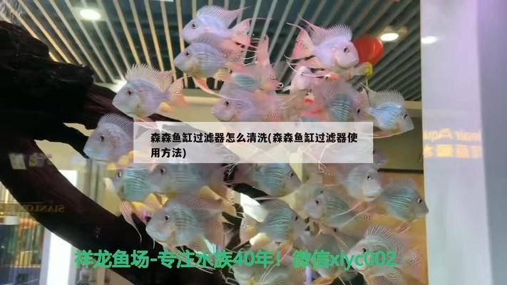 龍魚魚缸過濾及材料清洗：魚缸過濾材料清洗方法