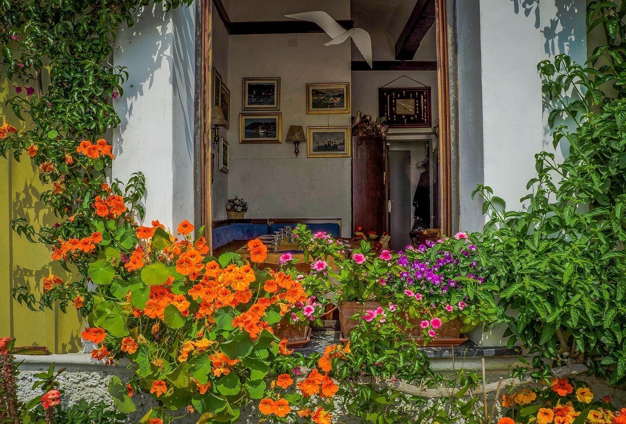 南寧市田園綠香花卉專賣店（南寧市田園綠香花卉專賣店地址） 南寧市田園綠香花卉專賣店（南寧市田園綠香花卉專賣店地址） 全國水族館企業名錄 第2張