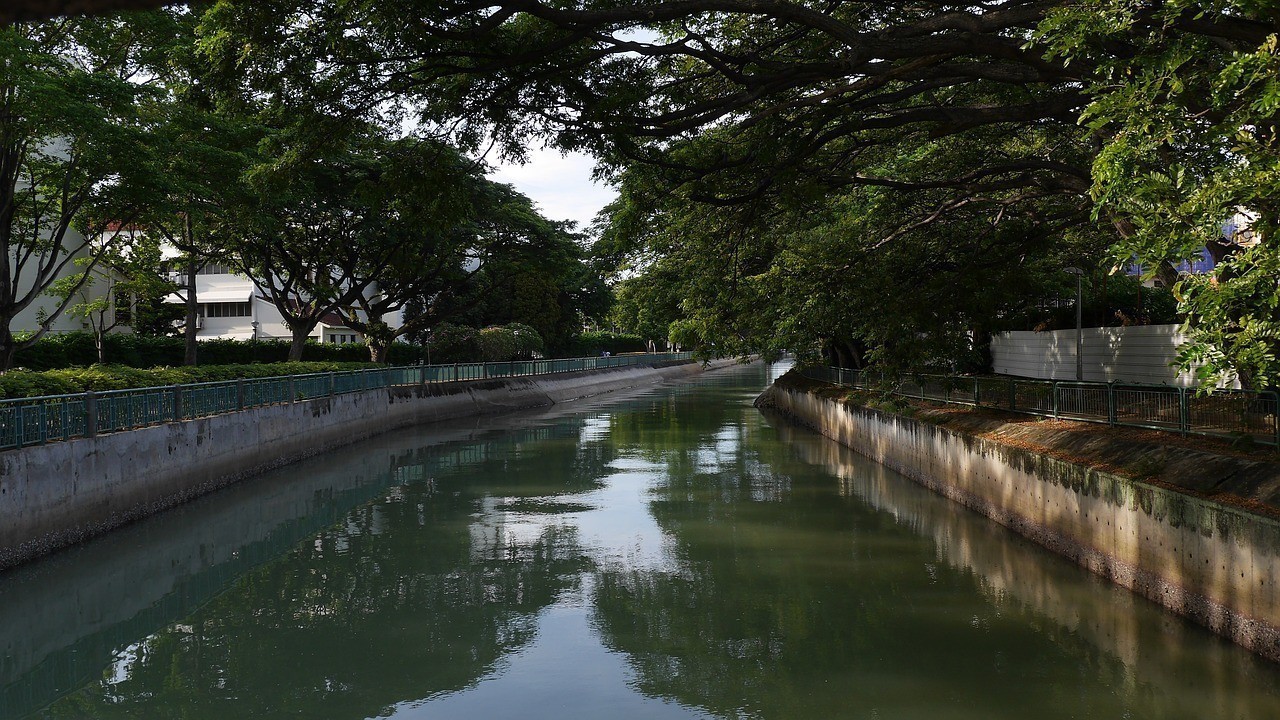 宜賓市翠屏區老曾金魚樂園（宜賓市翠屏區老曾金魚樂園地址）