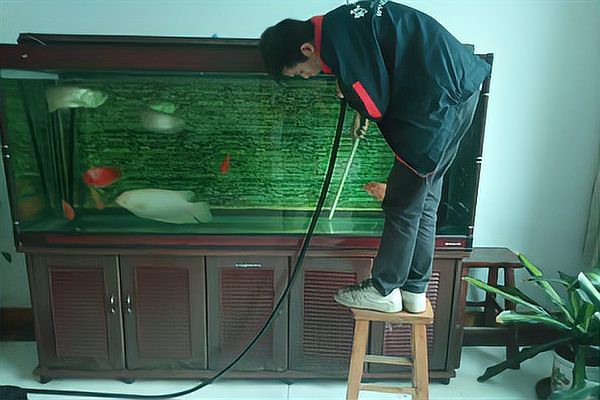 使用隔離喂食法時，需要多久換一次水？ 使用隔離喂食法時，需要多久換一次水？ 龍魚百科 第3張