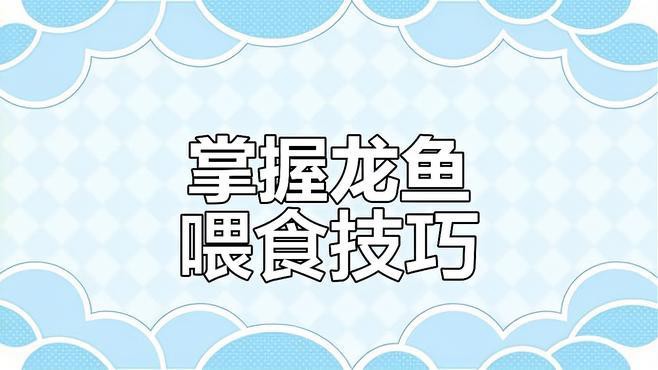 如何判斷過背龍魚是否吃飽？