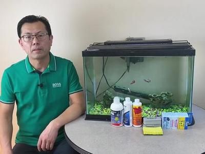 觀賞魚缸水渾怎么辦（觀賞魚缸水渾怎么辦,觀賞魚缸水渾是一個常見的問題）