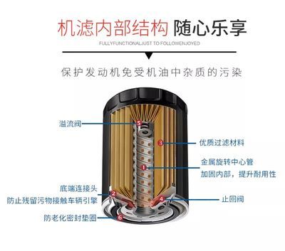 紅龍魚是什么魚類的魚：紅龍魚是什么魚類的？探索這種珍貴觀賞魚的奧秘 紅龍魚是什么魚類的魚：紅龍魚是什么魚類的？探索這種珍貴觀賞魚的奧秘 龍魚百科 第2張