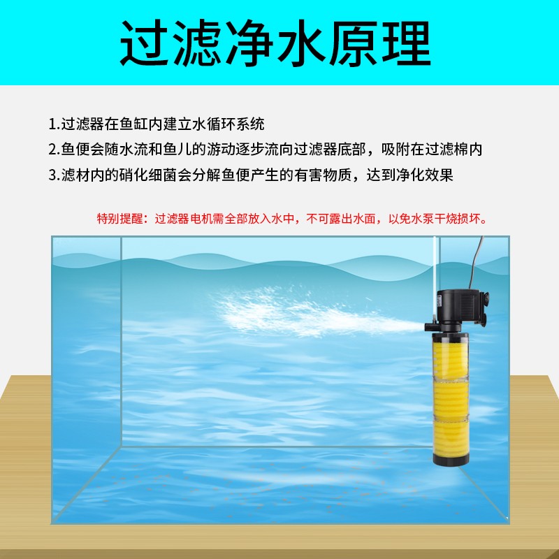 魚缸哪個品牌好一些呢（水族箱品牌歷史與發(fā)展）