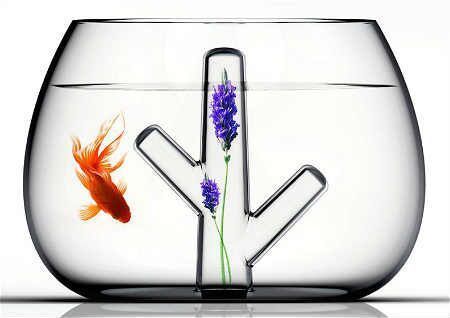 魚缸風水布局的最佳方位：魚缸風水與五行相生關系
