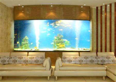 魚缸風水布局的最佳方位：魚缸風水與五行相生關系