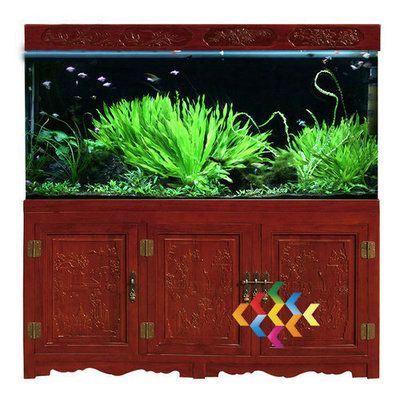 龍魚缸背景圖片大全超清(高清龍魚魚缸背景圖片大全) 魚缸百科 第5張 龍魚缸背景圖片大全超清(高清龍魚魚缸背景圖片大全) 龍魚缸背景圖片大全超清(高清龍魚魚缸背景圖片大全) 魚缸百科 第5張