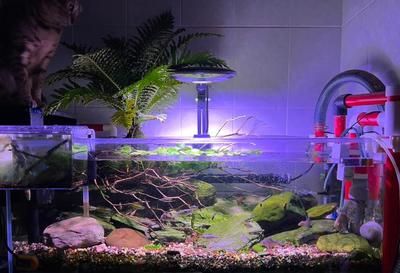 漢江和新漢江超白魚缸哪個好（新漢江超白魚缸品牌背后的故事新漢江超白魚缸品牌背后的故事） 漢江和新漢江超白魚缸哪個好（新漢江超白魚缸品牌背后的故事新漢江超白魚缸品牌背后的故事） 魚缸百科 第2張