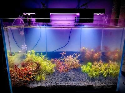 漢江和新漢江超白魚缸哪個好（新漢江超白魚缸品牌背后的故事新漢江超白魚缸品牌背后的故事） 漢江和新漢江超白魚缸哪個好（新漢江超白魚缸品牌背后的故事新漢江超白魚缸品牌背后的故事） 魚缸百科 第1張