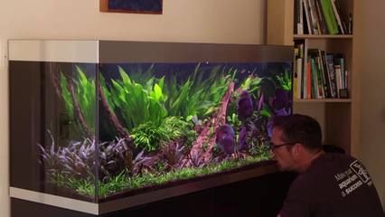 魚缸背景設(shè)計(jì)的藝術(shù)：個(gè)性化魚缸背景diy教程，