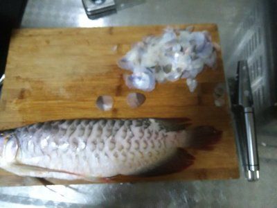 紅龍魚的膠原蛋白是什么：紅龍魚膠原蛋白提取魚膠原蛋白的提取方法包括以下步驟