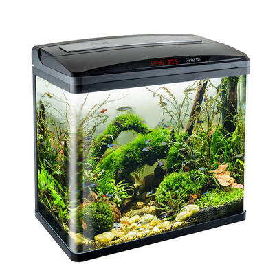 杭州<strong><mark>上城</mark></strong>區(qū)牛兒水族器材店（杭州<strong><mark>上城</mark></strong>區(qū)牛兒水族器材店地址）