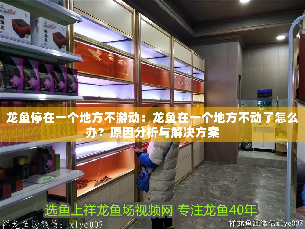 龍魚停在一個地方不游動：龍魚在一個地方不動了怎么辦？原因分析與解決方案