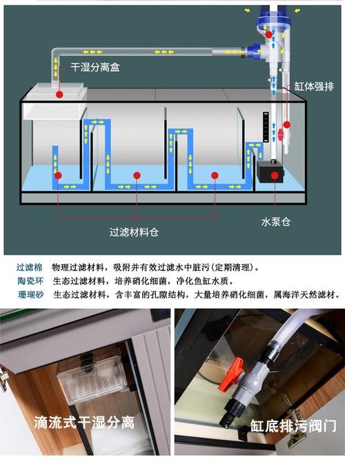 龍魚缸濾材怎樣擺放圖片欣賞