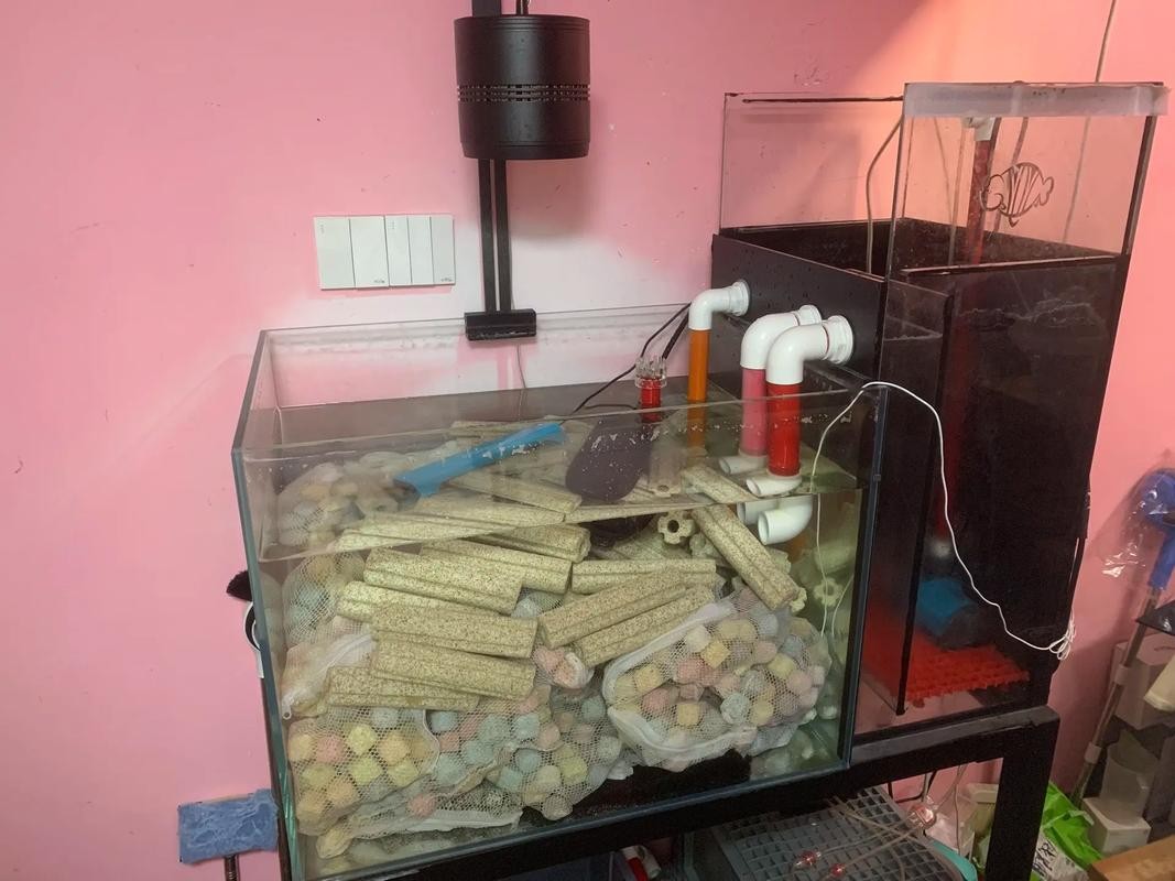 龍魚缸濾材怎樣擺放圖片欣賞