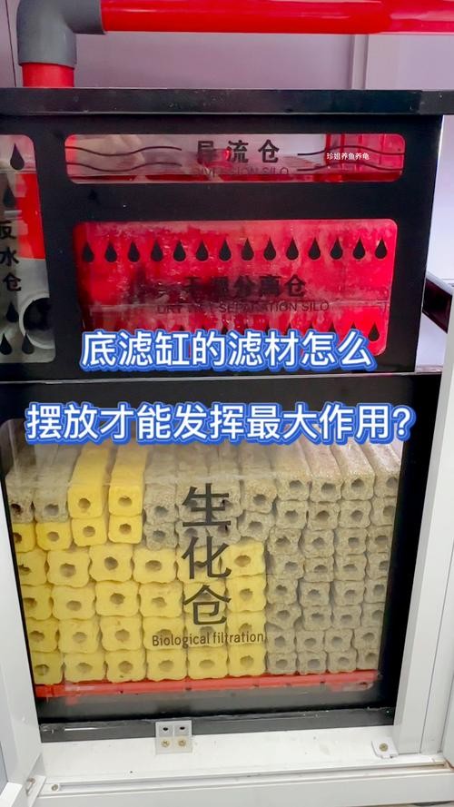 龍魚缸濾材怎樣擺放圖片欣賞