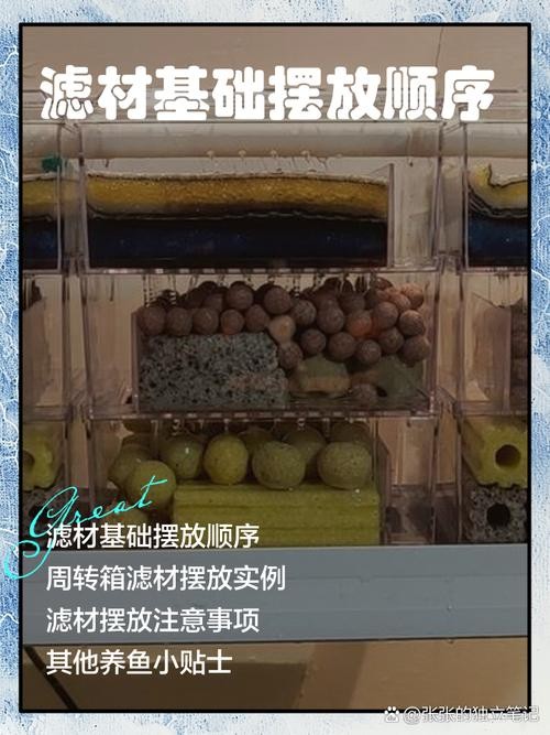 龍魚缸濾材怎樣擺放圖片欣賞