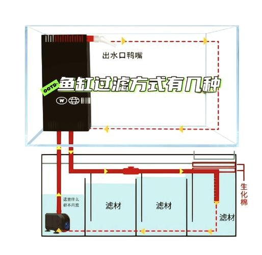 龍魚缸濾材怎樣擺放圖片欣賞