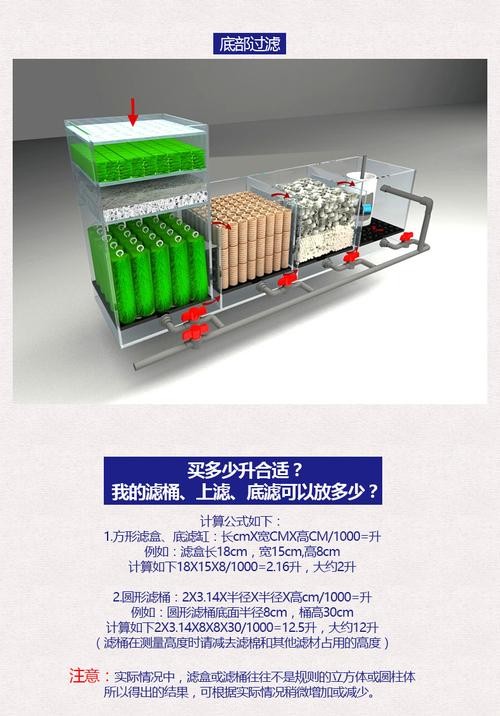 龍魚缸濾材怎樣擺放圖片欣賞