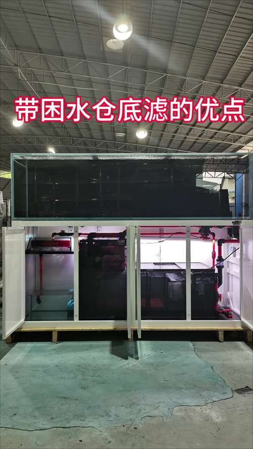 龍魚缸濾材怎樣擺放圖片欣賞