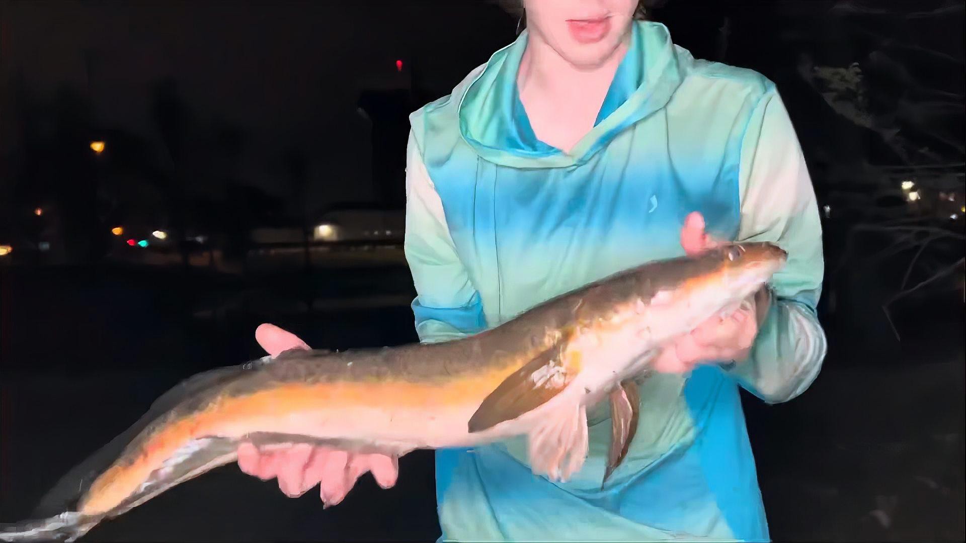 如何判斷雷龍魚是否適應當前水質？