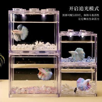藍鉆魚缸價格表：藍鉆魚缸價格