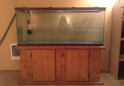 廣東魚缸廠家及其排名情況：水族箱設計與創新魚缸廠家競爭優勢：廣東地區知名魚缸廠家及其排名情況