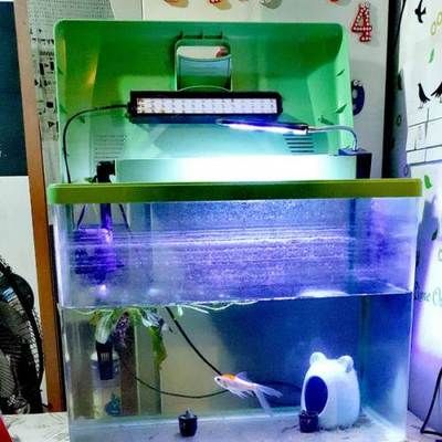 海星魚缸和森森魚缸哪個好養，森森魚缸的性價比和服務承諾：森森魚缸怎么樣