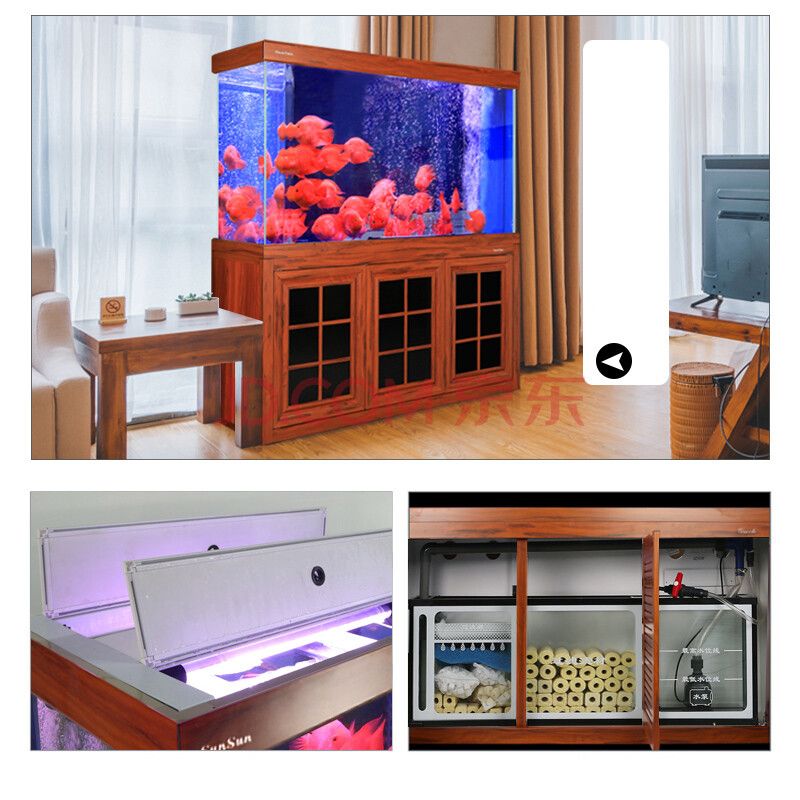 龍魚(yú)缸溫度過(guò)高 龍魚(yú)缸溫度過(guò)高 龍魚(yú)百科 第1張