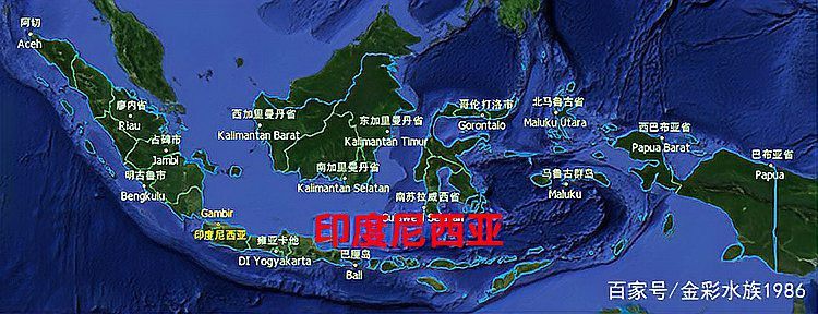 短身紅龍魚有哪些知名養殖場？