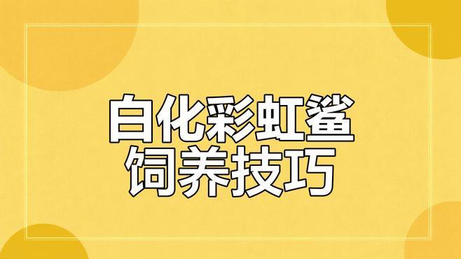 白鯊可以和龍魚混養