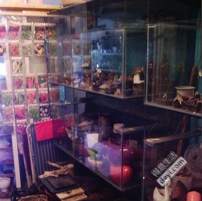 花鳥市場(chǎng)的地理分布：城市花鳥市場(chǎng)的地理分布