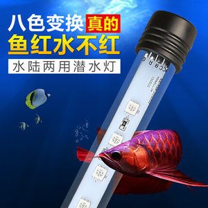 龍魚潛水燈正確擺放圖：龍魚潛水燈正確擺放在水面下放在水中燈與頂燈的位置