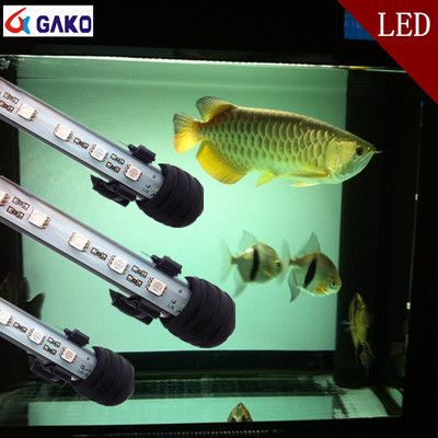 龍魚潛水燈正確擺放圖：龍魚潛水燈正確擺放在水面下放在水中燈與頂燈的位置