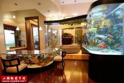 富豪家的魚缸怎么樣(比爾·蓋茨的私人魚缸揭秘) 魚缸百科 第1張 富豪家的魚缸怎么樣(比爾·蓋茨的私人魚缸揭秘) 富豪家的魚缸怎么樣(比爾·蓋茨的私人魚缸揭秘) 魚缸百科 第1張