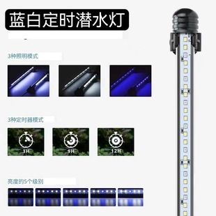 魚缸照明模擬晝夜變化技巧：魚缸日夜照明時間表設置,模擬自然光照對魚類有何益處 魚缸照明模擬晝夜變化技巧：魚缸日夜照明時間表設置,模擬自然光照對魚類有何益處 魚缸百科 第5張