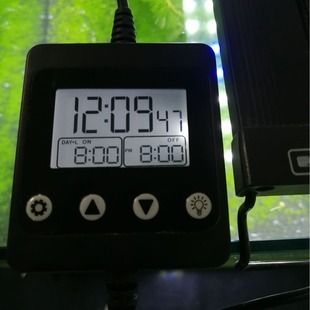 魚缸照明模擬晝夜變化技巧：魚缸日夜照明時間表設置,模擬自然光照對魚類有何益處 魚缸照明模擬晝夜變化技巧：魚缸日夜照明時間表設置,模擬自然光照對魚類有何益處 魚缸百科 第1張