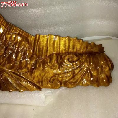 金龍魚前身：金龍魚的前身是什么？ 金龍魚前身：金龍魚的前身是什么？ 龍魚百科 第1張