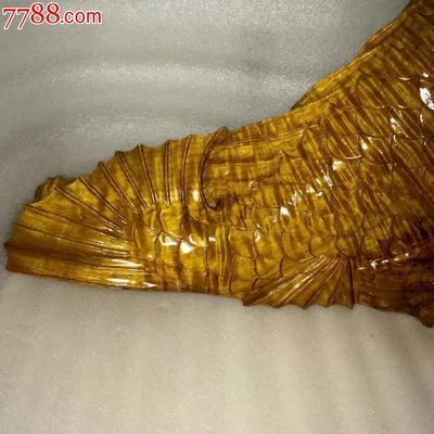 金龍魚前身：金龍魚的前身是什么？ 金龍魚前身：金龍魚的前身是什么？ 龍魚百科 第2張