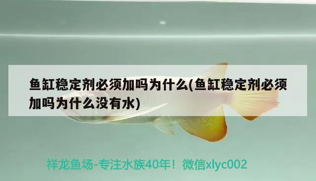 涿州市承峰商貿(mào)有限公司（涿州市承峰商貿(mào)有限公司電話）