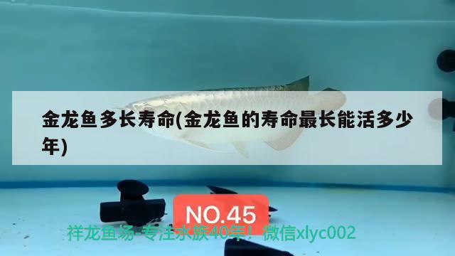 涿州市承峰商貿(mào)有限公司（涿州市承峰商貿(mào)有限公司電話）