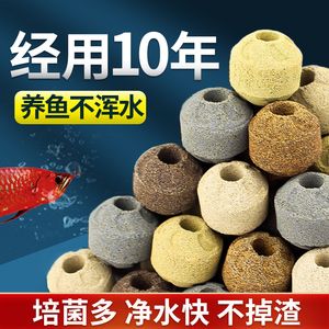 魚缸濾材最好的品牌：最好的魚缸濾材品牌