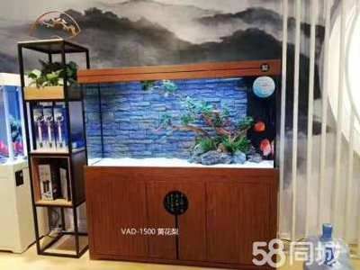 可麗愛魚缸官網專賣店地址在哪里（可麗愛魚缸官網專賣店地址） 可麗愛魚缸官網專賣店地址在哪里（可麗愛魚缸官網專賣店地址） 魚缸百科 第1張