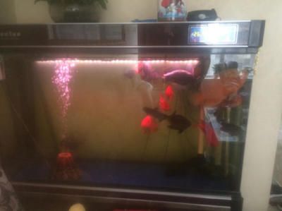 森森魚缸一米二價格（森森魚缸一米二價格,帶特殊功能或配置款,外觀設計）