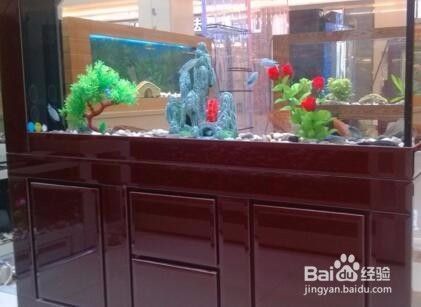 如何防止陽光直射魚缸：如何有效地防止陽光直射魚缸