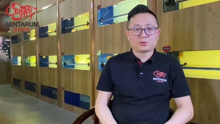 龍魚缸寬40：40厘米寬的魚缸適合養龍魚嗎？ 龍魚缸寬40：40厘米寬的魚缸適合養龍魚嗎？ 龍魚百科 第5張