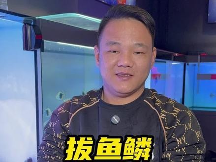 銀龍魚鱗片爛了怎么辦圖片