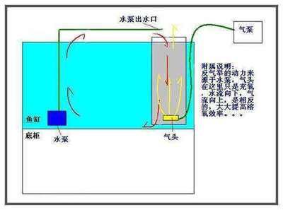 魚缸的水泵不工作原理：魚缸水泵不工作的原因及其解決方案