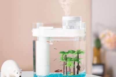 魚缸性價(jià)比推薦（佳璐超白魚缸） 魚缸性價(jià)比推薦（佳璐超白魚缸） 魚缸百科 第5張